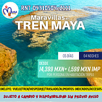 A bordo del Tren Maya