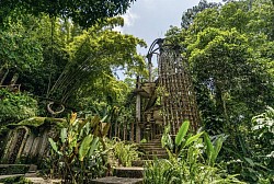 Tour por Xilitla y Tamasopo. Si visitas San Luís Potosí no te puedes perder este tour de 2 días donde conocerás los principales atractivos de Xilitla y Tamasopo. Piscinas naturales, frondosa vegetación, esculturas en medio de la naturaleza... ¡La magia está asegurada!